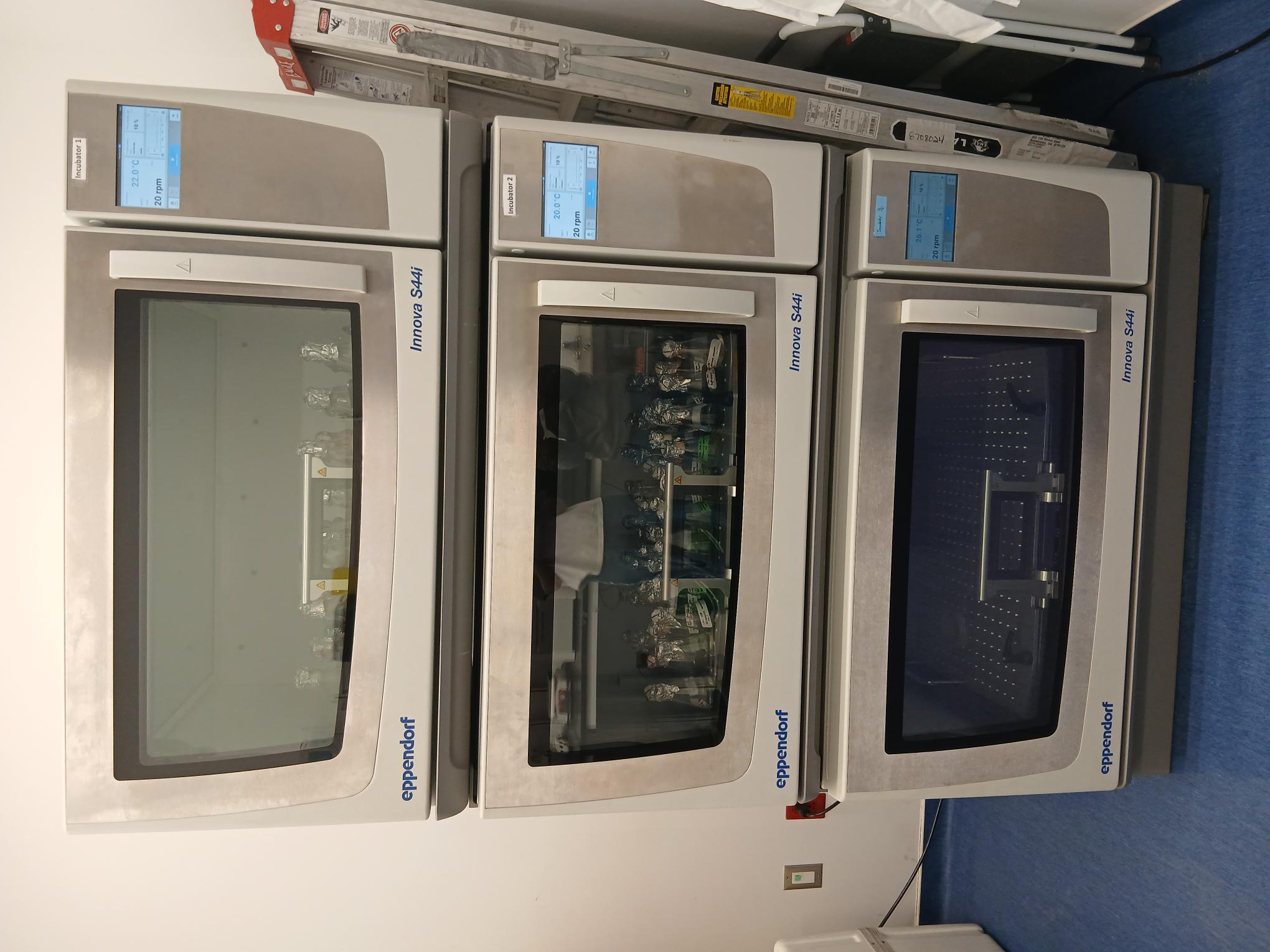 Growth Incubators