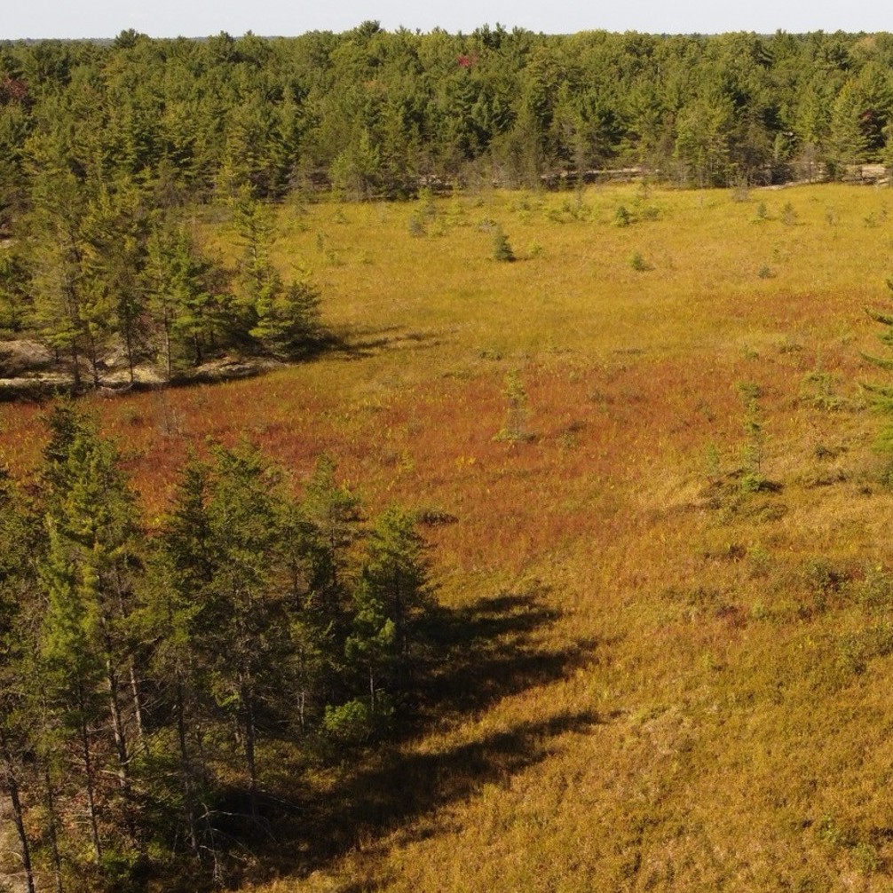 GWFO NOBEL site