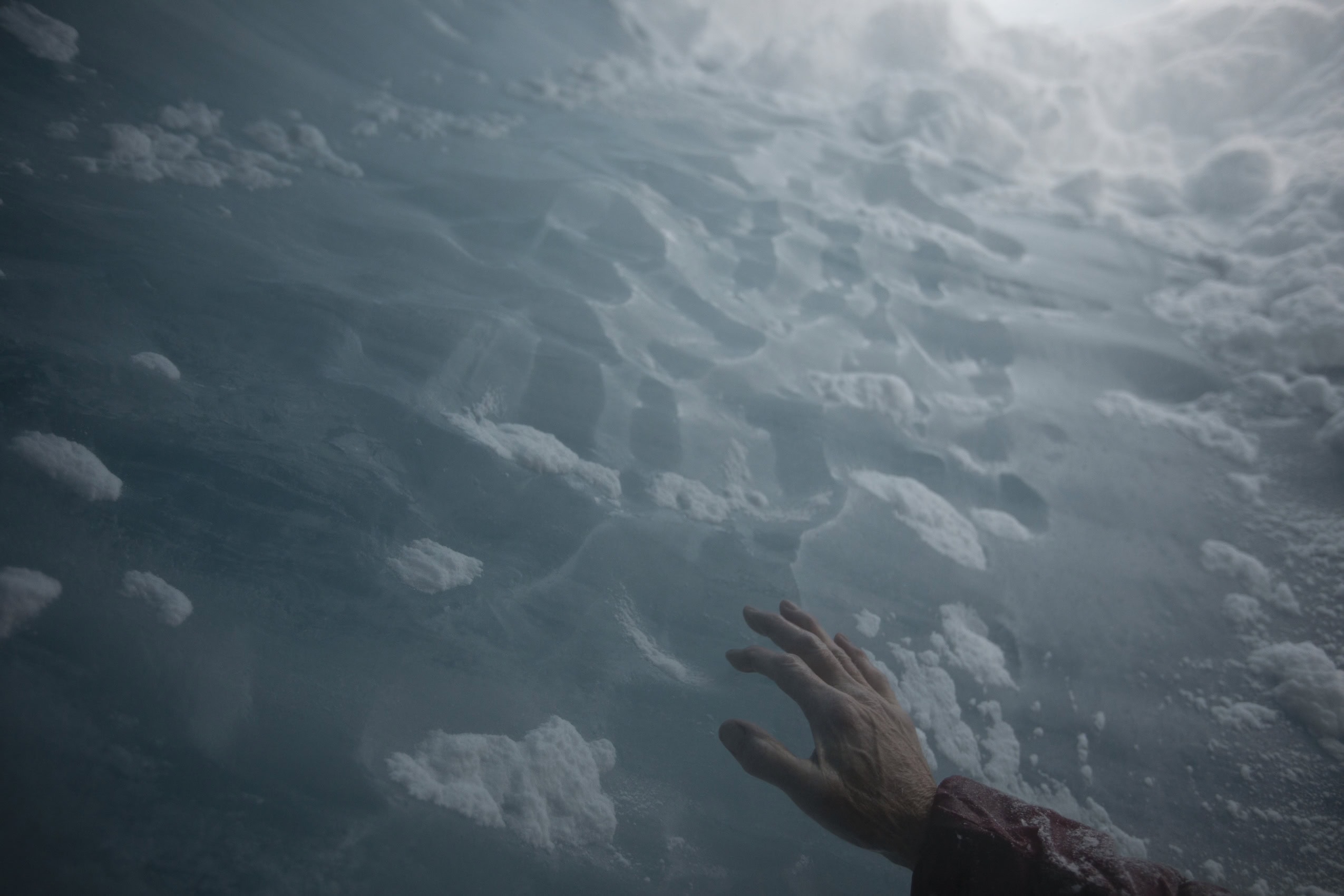 Photo from Amber Bracken, The Narwhal